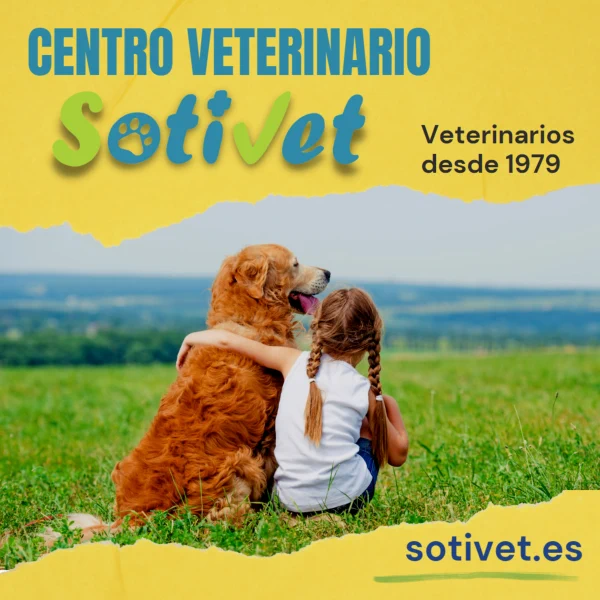 Centro Veterinario Sotivet, Sotillo de la Adrada, Valle del Tiétar sur de Gredos