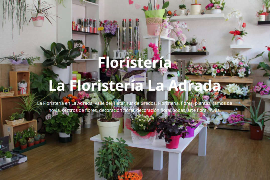 Floristería, decoración floral, La Adrada Valle del Tiétar Gredos