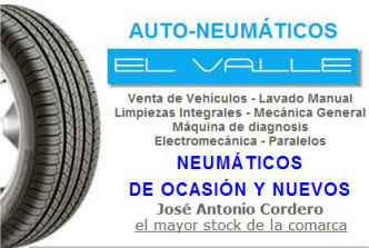 Neumáticos Taller Mecánico Auto-Neumáticos El Valle Arenas de San Pedro