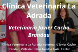 Clínica Veterinaria La Adrada, Veterinario Javier Cacho Brandau