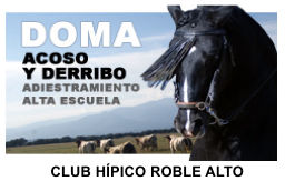 Club Hípico Roble Alto Candeleda: Hípica Equitación Turismo Ecuestre