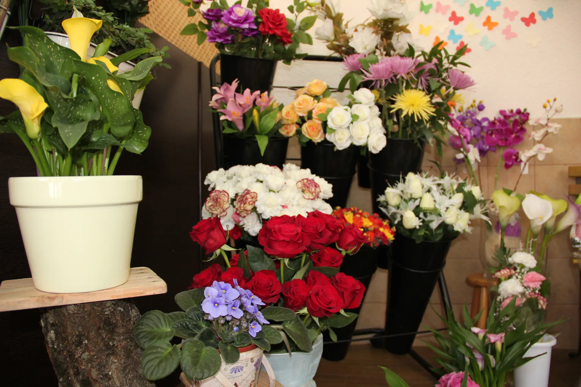 La floristería, flores y plantas para decorar, regalar y celebrar