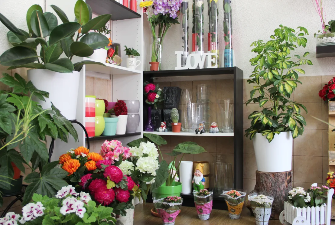 Floristería La Adrada Gredos Valle del Tiétar
