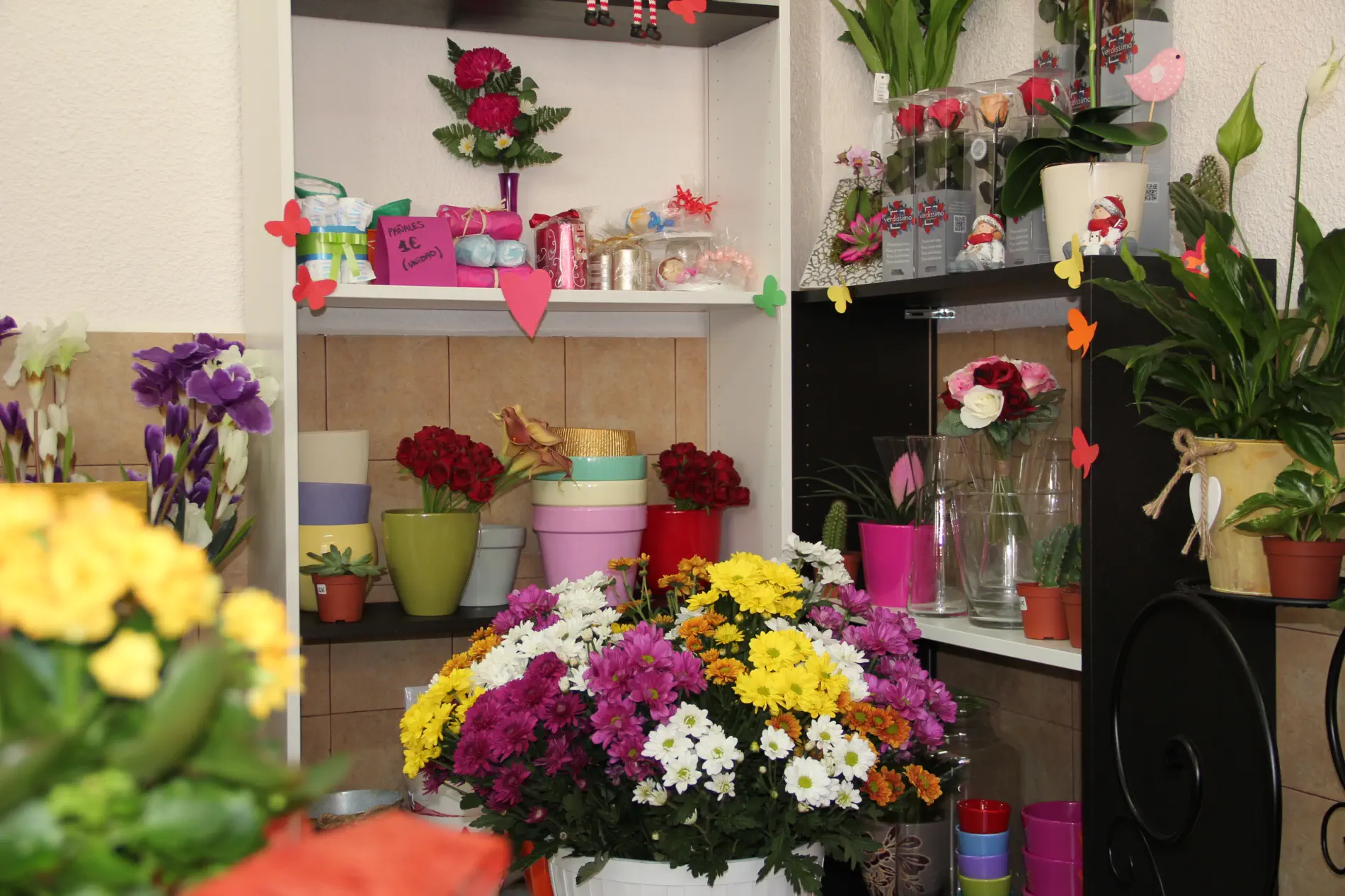 La Floristería La Adrada, Valle del Tiétar sur de Gredos