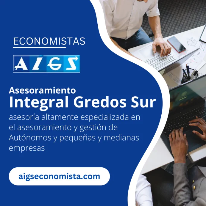 Asesoría AIGS Economista Carlos Vidal Fernández Arenas de San Pedro y Candeleda