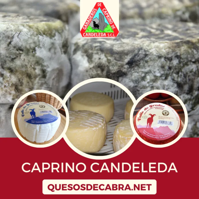 Quesos de Cabra Ávila Castilla y León