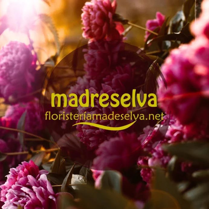 Floristería Madreselva Sotillo de la Adrada, Valle del Tiétar sur de Gredos